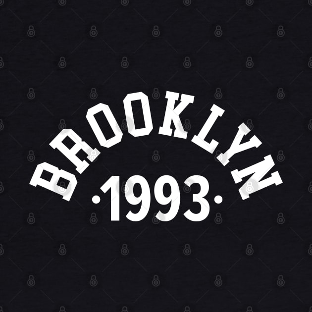 Brooklyn Chronicles: Celebrating Your Birth Year 1993 by Boogosh
